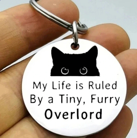 My life is ruled by a tiny,  furry overlord hot Keychain kitty cat - Picture 1 of 1